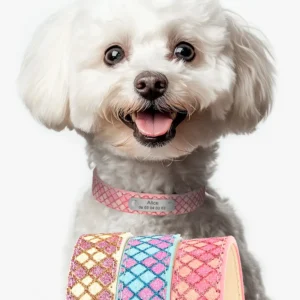 Collier Chien Gravé Réseau-Coloré