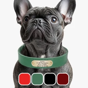 Collier Chien Personnalisé Cuir Camaïeu