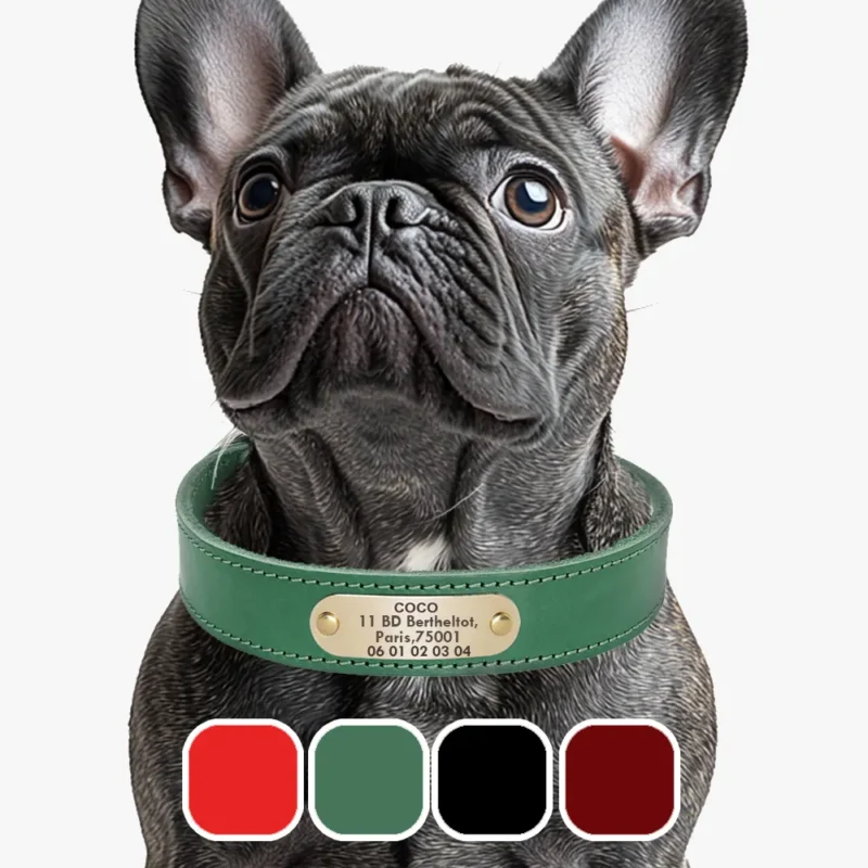 <div> <p style="font-weight: 400;">Donnez à votre chouchou une protection d’amour !</p> <p style="font-weight: 400;">Ce collier chien personnalisé l’offre une seconde chance en cas d’urgence en inscrivant son nom et vos coordonnées. Disponible en différentes tailles et couleurs, vous en trouvez facilement un ce qui s’harmonisera à la race, le sexe, aux poils et même à l’humour du jour de votre chien. [cg_accordion title="Matériau"] <span lang="FR">Cuir Véritable </span>[/cg_accordion] [cg_accordion title="Avantage"]</p> </div> <div> <ul style="font-weight: 400;"> <li> <p style="font-weight: 400;">Porter ce collier chien cuir personnalisé est comme avoir un abri d’amour en cas d’urgence, puisque quelqu’un peut vous contacter si votre toutou est seul dehors.</p> </li> <li> <p style="font-weight: 400;">Vous pouvez laisser libre cours à la personnalisation du contenu affiché.</p> </li> <li> <p style="font-weight: 400;">Le cuir le rend à la fois confortable et durable.</p> </li> <li> <p style="font-weight: 400;">Portant de jolie couleur l’aidera à attirer plus d’amour et d’attention de la part des autres.</p> </li> <li> <p style="font-weight: 400;">Il s’adaptera à différentes tailles de cou selon les trous réglables. [/cg_accordion][custom_combined_shortcode title="Guide de tailles" id="19140"][cg_accordion title="Livraison"] <span lang="FR">Veuillez noter que votre commande sera fabriquée sur mesure. Le délai de livraison est donc de 7 à 28 jours ouvrables à compter de sa validation. </span>[/cg_accordion][cg_accordion title="Retour"]<span lang="FR">Si, pour quelque raison que ce soit, vous n'êtes pas satisfait de votre commande, il vous suffit de nous la renvoyer dans les 30 jours suivant sa réception (les produits personnalisés ne sont pas couverts par cette politique de retour et de remboursement).</span>[/cg_accordion]</p> </li> </ul> </div>