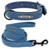 bleu + laisse