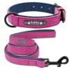 fuchsia + laisse