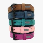 Détails du Collier Chien Personnalisé Daim Beauty disponible en 5 couleurs