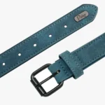 Détails de la boucle du Collier Chien Personnalisé Daim Beauty bleu