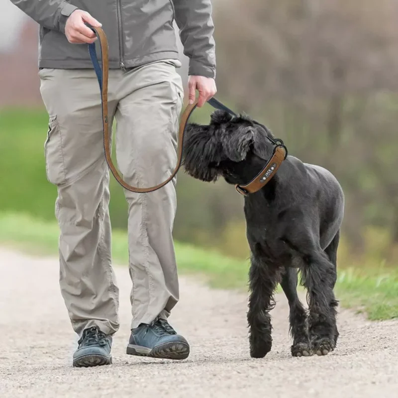 Promenade paisible avec un chien noir sur un chemin de gravier en pleine nature.