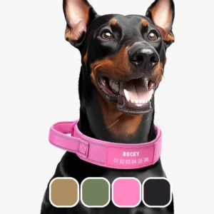 Collier Chien avec Poignée Personnalisé Off-Road