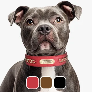 Collier chien en cuir pour grand chien 3 couleurs