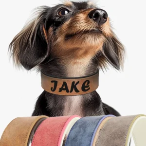collier en cuir personnalisable nom et numéro de téléphone 4 couleurs pour grand chien