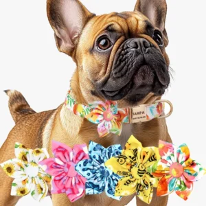 collier chien personnalise style fleur chic 5 couleurs