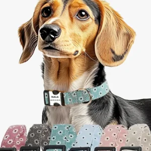 Collier Chien Personnalisé style fleurs motifs avec nom, confort et style pour petits et grands chiens.