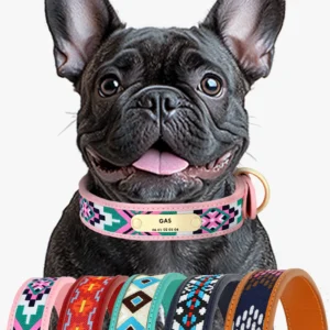 collier personnalisable pour chien 5 style boho 4 tailles
