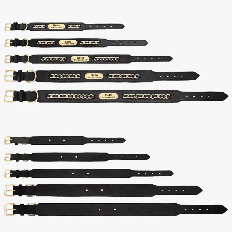 Détails du recto et verso du Collier Chien Personnalisé Cuir Punk, disponible en 5 tailles