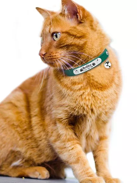 Collier