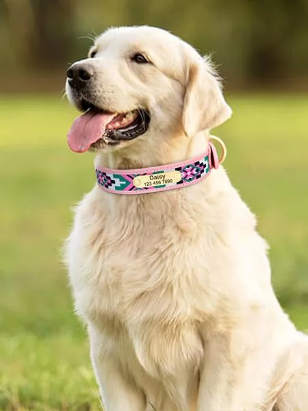 Collier chien personnalisé