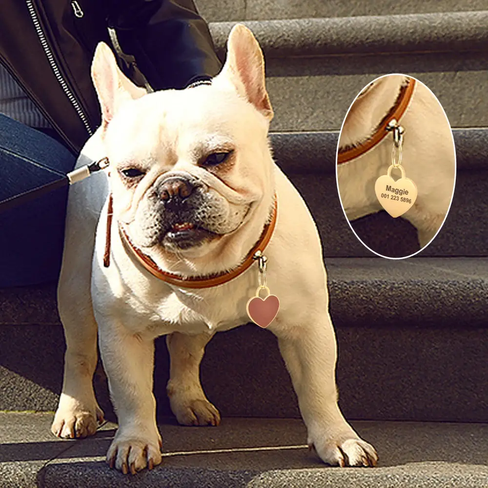 <p style="font-weight: 400;">Exprimez votre amour pour votre compagnon canin avec cette médaille pour chien en forme de cœur.</p> <p style="font-weight: 400;"><span style="font-weight: 400;">Personnalisez son verso avec des gravures uniques. C’est une déclaration de protection et un baiser de charme de votre part.</span> [cg_accordion title="Matériau"] Inox [/cg_accordion] [cg_accordion title="Avantage"]</p> <ul style="font-weight: 400;"> <li>Déclarez votre amour avec cette médaille chien gravée, une protection en cas d’urgence</li> <li>Design duo offre une décoration charmante des deux côtés</li> <li>Vos coordonnées gravées fournissent une seconde chance en cas de besoin</li> <li>Un choix de couleurs pour qu’elle s’adapte parfaitement avec sa beauté, ses poils et son sexe [/cg_accordion] [custom_combined_shortcode title=" Guide de tailles" id="27947"] [cg_accordion title="Livraison"] Veuillez noter qu’il s’agit d’une commande sur mesure. La livraison s’effectuera dans un délai de 7 à 28 jours ouvrables dès sa validation. <span lang="FR"> </span>[/cg_accordion][cg_accordion title="Retour"] Si, pour quelque raison que ce soit, vous n'êtes pas pleinement satisfait, une demande de retour serait possible dans les 14 jours suivant la réception (les produits personnalisés ne sont pas couverts par cette politique de retour et de remboursement).[/cg_accordion]</li> </ul>