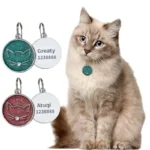 Chat élégant avec collier unique et tags colorés, captivant la beauté féline.