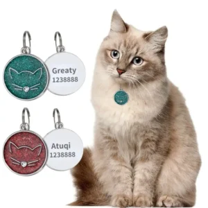 Chat élégant avec collier unique et tags colorés, captivant la beauté féline.