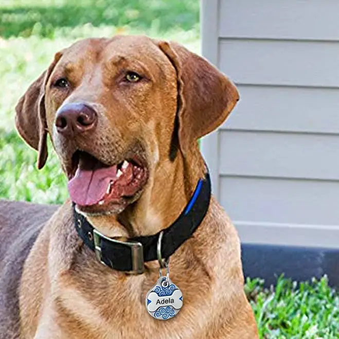 <p style="font-weight: 400;">Offrez à votre fidèle canin une médaille pour chien sur mesure.</p> <p style="font-weight: 400;"><span style="font-weight: 400;">Cela crée votre déclaration d’amour ! Son design en duo vous permet de personnaliser son nom dans un cadre d’os très mignon à la face et vos coordonnées au verso. C’est une fusion parfaite entre style et sécurité. </span> [cg_accordion title="Matériau"] Inox [/cg_accordion] [cg_accordion title="Avantage"]</p> <ul style="font-weight: 400;"> <li>Exprimez votre amour canin avec cette médaille chien, un bijou personnalisé à porter partout</li> <li>Design en duo présente une déco sympathique à l’avant et une protection affectueuse à l’arrière</li> <li>Vos coordonnées offrent une seconde chance permettant aux gens de vous contacter en cas de besoin</li> <li>Un grand choix de couleur pour s’adapter à la beauté, au sexe, au caractère et aux poils de votre chien [/cg_accordion] [cg_accordion title="Taille"] 25mm en Diamètre [/cg_accordion] [cg_accordion title="Livraison"] Veuillez noter qu’il s’agit d’un produit personnalisé. La livraison s’effectuera donc dans un délai de 7 à 28 jours ouvrables dès la validation de votre commande. <span lang="FR"> </span>[/cg_accordion][cg_accordion title="Retour"] Si, pour quelque raison que ce soit, vous n'êtes pas pleinement satisfait, une demande de retour serait possible dans les 14 jours suivant la réception. (les produits personnalisés ne sont pas couverts par cette politique de retour et de remboursement).[/cg_accordion]</li> </ul>