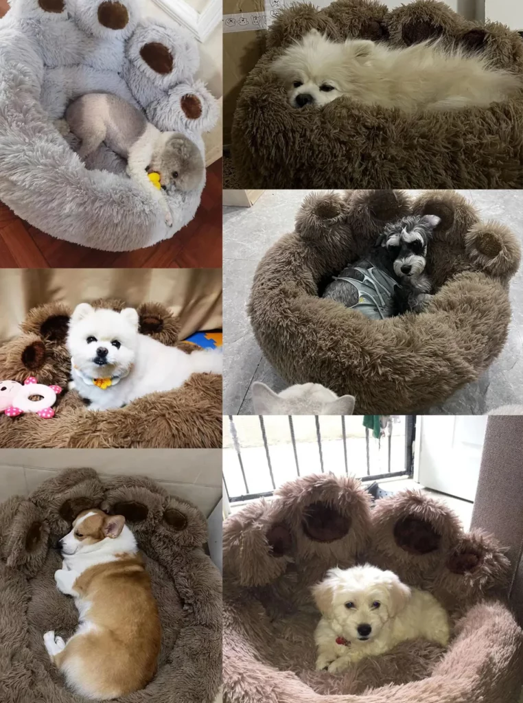 Chiens heureux se reposant dans des coussins doux en forme de pattes confortables.