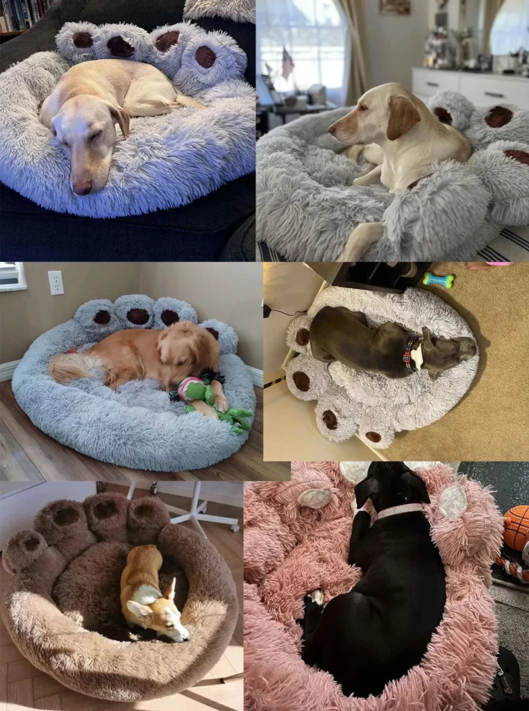 Chiens détendus dans des lits douillets en forme de patte, incarnant le bonheur canin.