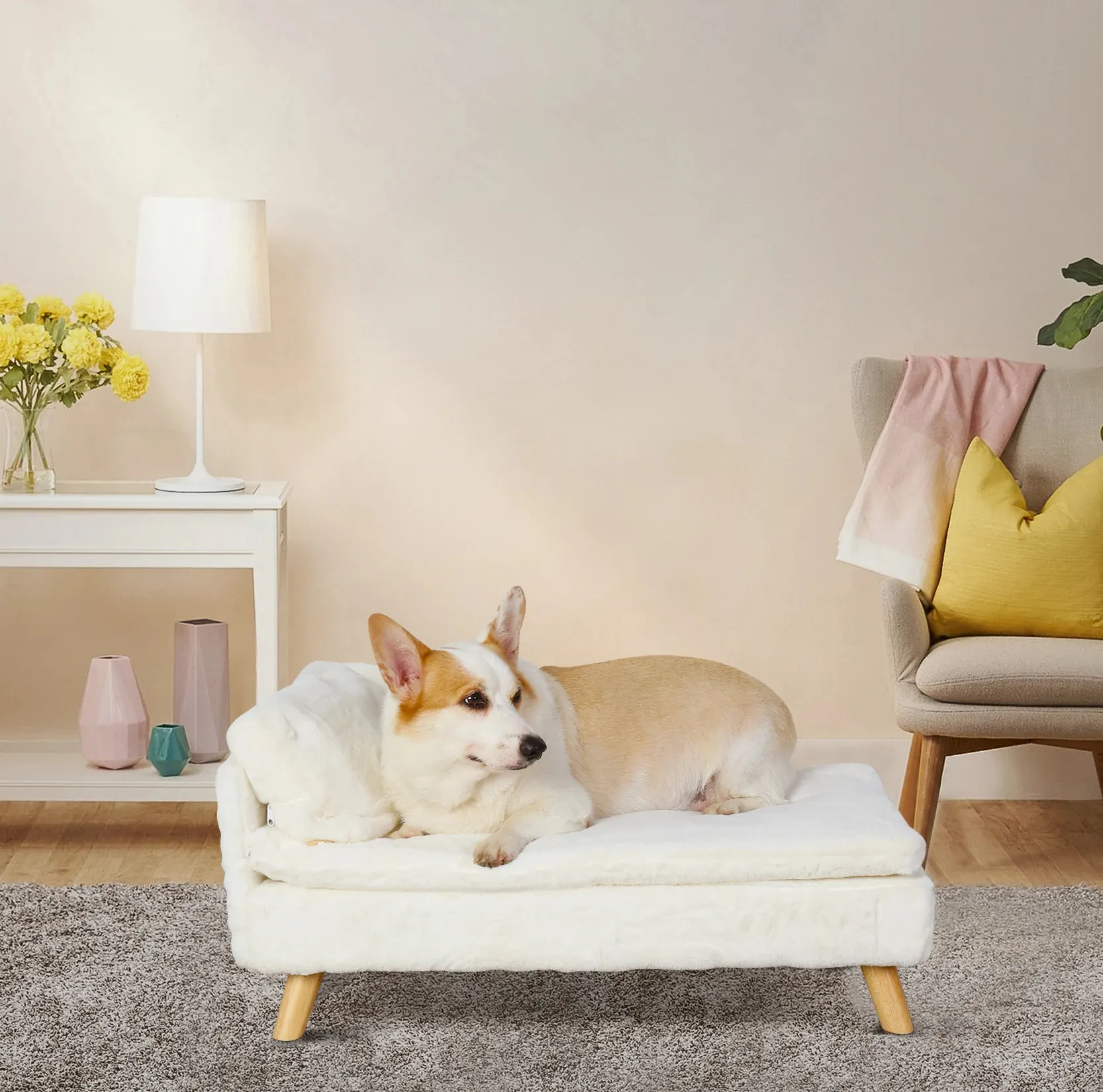 Corgi confortablement installé dans un salon minimaliste et accueillant avec décoration apaisante.