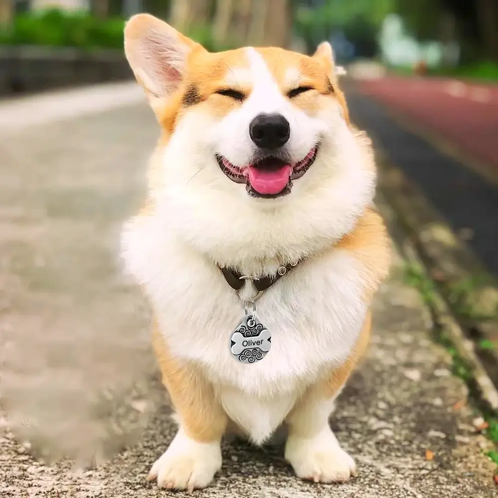<p style="font-weight: 400;">Offrez à votre fidèle canin une médaille pour chien sur mesure.</p> <p style="font-weight: 400;"><span style="font-weight: 400;">Cela crée votre déclaration d’amour ! Son design en duo vous permet de personnaliser son nom dans un cadre d’os très mignon à la face et vos coordonnées au verso. C’est une fusion parfaite entre style et sécurité. </span> [cg_accordion title="Matériau"] Inox [/cg_accordion] [cg_accordion title="Avantage"]</p> <ul style="font-weight: 400;"> <li>Exprimez votre amour canin avec cette médaille chien, un bijou personnalisé à porter partout</li> <li>Design en duo présente une déco sympathique à l’avant et une protection affectueuse à l’arrière</li> <li>Vos coordonnées offrent une seconde chance permettant aux gens de vous contacter en cas de besoin</li> <li>Un grand choix de couleur pour s’adapter à la beauté, au sexe, au caractère et aux poils de votre chien [/cg_accordion] [cg_accordion title="Taille"] 25mm en Diamètre [/cg_accordion] [cg_accordion title="Livraison"] Veuillez noter qu’il s’agit d’un produit personnalisé. La livraison s’effectuera donc dans un délai de 7 à 28 jours ouvrables dès la validation de votre commande. <span lang="FR"> </span>[/cg_accordion][cg_accordion title="Retour"] Si, pour quelque raison que ce soit, vous n'êtes pas pleinement satisfait, une demande de retour serait possible dans les 14 jours suivant la réception. (les produits personnalisés ne sont pas couverts par cette politique de retour et de remboursement).[/cg_accordion]</li> </ul>
