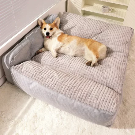 Labrador nain : origine et vérité génétique Lit coussin 2 en 1 pour chien de petit ou grand gabarit