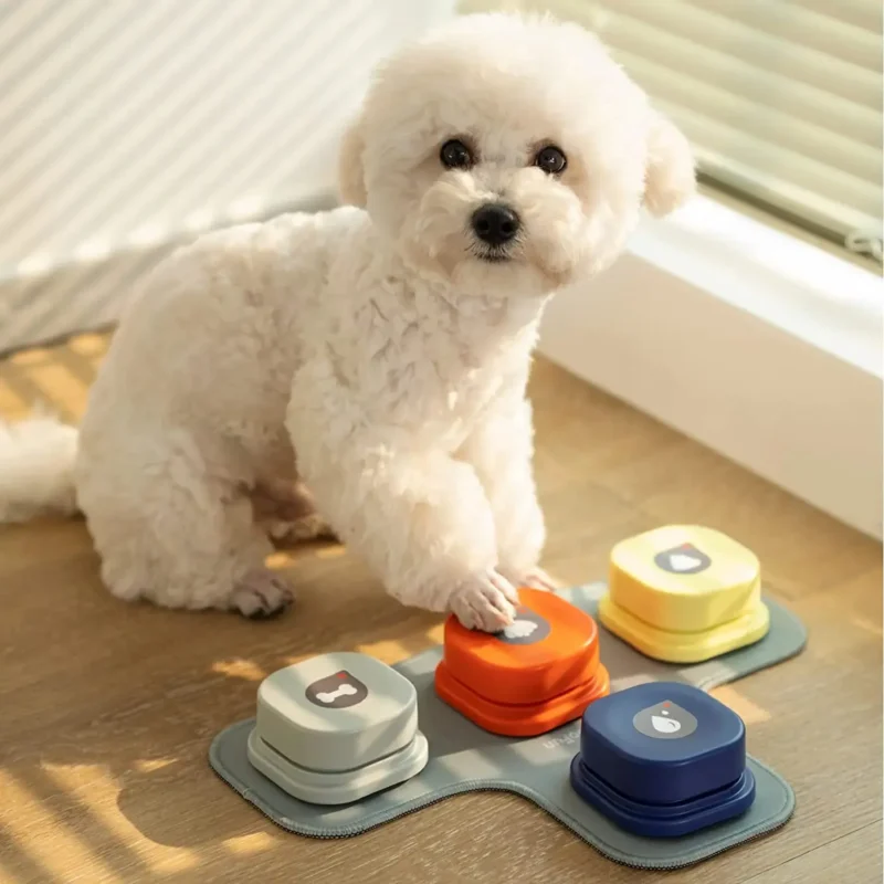 Chien blanc joyeux jouant avec un jouet interactif coloré dans une atmosphère chaleureuse.