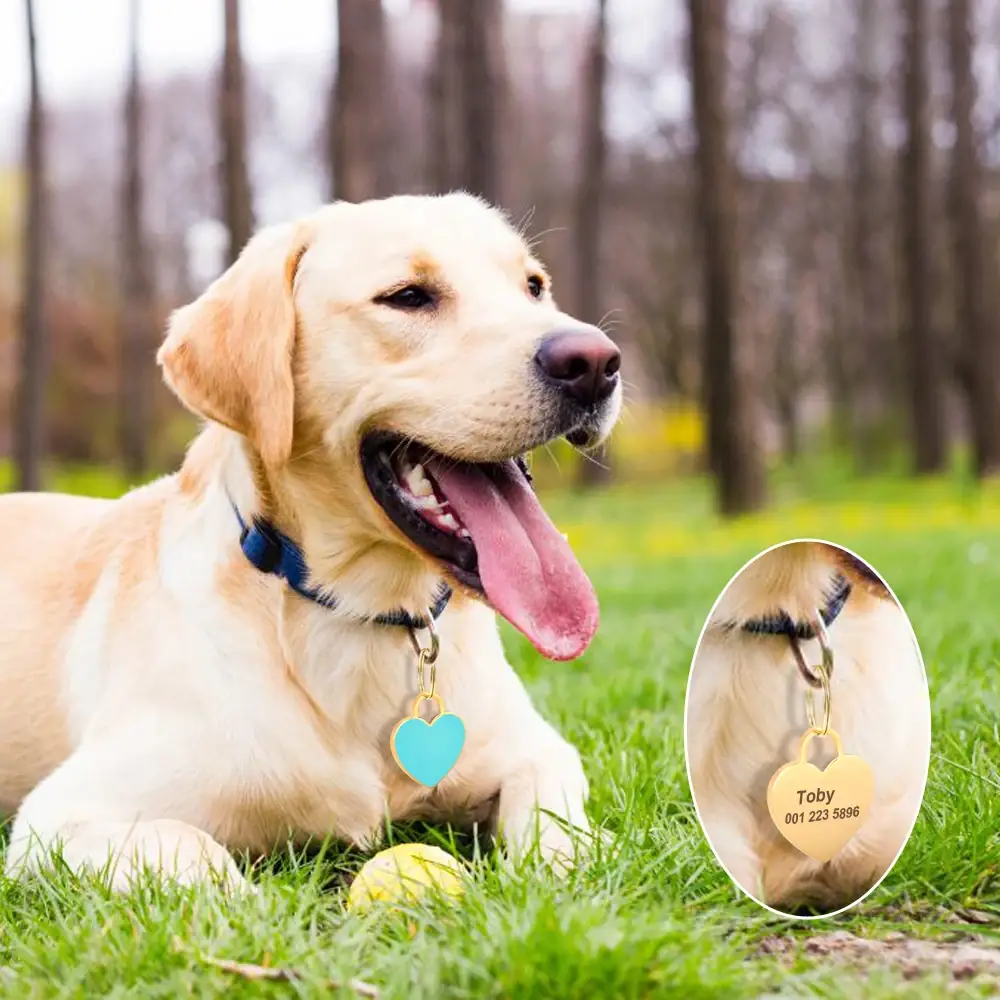 <p style="font-weight: 400;">Exprimez votre amour pour votre compagnon canin avec cette médaille pour chien en forme de cœur.</p> <p style="font-weight: 400;"><span style="font-weight: 400;">Personnalisez son verso avec des gravures uniques. C’est une déclaration de protection et un baiser de charme de votre part.</span> [cg_accordion title="Matériau"] Inox [/cg_accordion] [cg_accordion title="Avantage"]</p> <ul style="font-weight: 400;"> <li>Déclarez votre amour avec cette médaille chien gravée, une protection en cas d’urgence</li> <li>Design duo offre une décoration charmante des deux côtés</li> <li>Vos coordonnées gravées fournissent une seconde chance en cas de besoin</li> <li>Un choix de couleurs pour qu’elle s’adapte parfaitement avec sa beauté, ses poils et son sexe [/cg_accordion] [custom_combined_shortcode title=" Guide de tailles" id="27947"] [cg_accordion title="Livraison"] Veuillez noter qu’il s’agit d’une commande sur mesure. La livraison s’effectuera dans un délai de 7 à 28 jours ouvrables dès sa validation. <span lang="FR"> </span>[/cg_accordion][cg_accordion title="Retour"] Si, pour quelque raison que ce soit, vous n'êtes pas pleinement satisfait, une demande de retour serait possible dans les 14 jours suivant la réception (les produits personnalisés ne sont pas couverts par cette politique de retour et de remboursement).[/cg_accordion]</li> </ul>