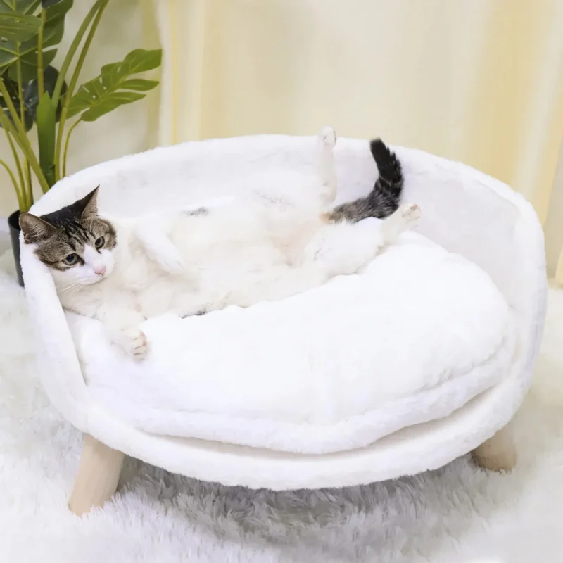 Lit rond blanc pour chat, confort douillet avec un félin détendu et heureux.