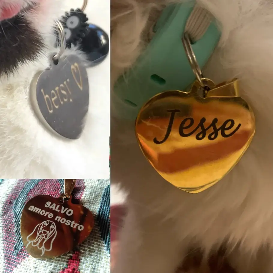 <p style="font-weight: 400;">Cette médaille chien gravée, vous aide à déclarer votre amour à votre canin adoré.</p> <p style="font-weight: 400;"><span style="font-weight: 400;">Son design en duo vous permet de personnaliser son nom à l'avant et vos cordonnées à l'arrière. Ce n'est pas simplement une décoration charmante mais également une protection affectueuse. </span> [cg_accordion title="Matériau"] Inox [/cg_accordion] [cg_accordion title="Avantage"]</p> <ul style="font-weight: 400;"> <li>Cette médaille chien est un bijou sur mesure qui témoigne de votre affection</li> <li>Une double personnalisation crée une déco stylée à la face et une protection au verso</li> <li>Vos coordonnées offrent une seconde chance en cas de besoin</li> <li>Une grande sélection de couleurs et de tailles pour s’adapter à la beauté, au sexe, au caractère et aux poils de votre chien [/cg_accordion] [custom_combined_shortcode title=" Guide de tailles" id="28164"] [cg_accordion title="Livraison"] Veuillez noter qu’il s’agit d’une commande sur mesure. La livraison s’effectuera dans un délai de 7 à 28 jours ouvrables dès sa validation. <span lang="FR"> </span>[/cg_accordion][cg_accordion title="Retour"] Si, pour quelque raison que ce soit, vous n'êtes pas pleinement satisfait, une demande de retour serait possible dans les 14 jours suivant la réception. (les produits personnalisés ne sont pas couverts par cette politique de retour et de remboursement). [/cg_accordion]</li> </ul>