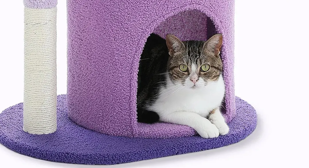 <p style="font-weight: 400;">Cet arbre à chat design est un appel à l’action pour offrir à votre félin le summum du confort et de la joie.</p> <p style="font-weight: 400;"><span style="font-weight: 400;"> Combiné de peluche, de bois et de sisal, il crée son parc de détente et de divertissement en toute sécurité. La forme délicate ajoute une touche décorative à votre domicile. </span> [cg_accordion title="Matériau"] Peluche + Bois + Sisal [/cg_accordion] [cg_accordion title="Avantage"]</p> <ul style="font-weight: 400;"> <li>Cet arbre à chat original est polyvalent pour que votre félin puisse se détendre, dormir, faire une sieste, jouer ou simplement observer en hauteur son royaume en hauteur</li> <li>Peluche avec support du bois présente le meilleur équilibre entre confort et durabilité</li> <li>Design délicat ajoute une touche décorative à domicile</li> <li>Boules à ressort et suspendues pour le divertissement variant</li> <li>Grand socle enveloppé de peluche pour créer une meilleure stabilité et éviter tout glissement lors des sauts</li> <li>Parties en sisal créent des espaces idéals pour griffer</li> <li>Niche à chat, plate-forme incurvée et coussin en haut pour accueillir jusqu’à 3 chats en même temps [/cg_accordion] [custom_combined_shortcode title=" Guide de tailles" id="30070"] [cg_accordion title="Livraison"] Livraison dans un délai de 7 à 28 jours ouvrables dès votre commande validée. <span lang="FR"> </span>[/cg_accordion][cg_accordion title="Retour"] En cas d’insatisfaction, vous avez 14 jours à partir de la réception pour demande un retour. [/cg_accordion]</li> </ul>