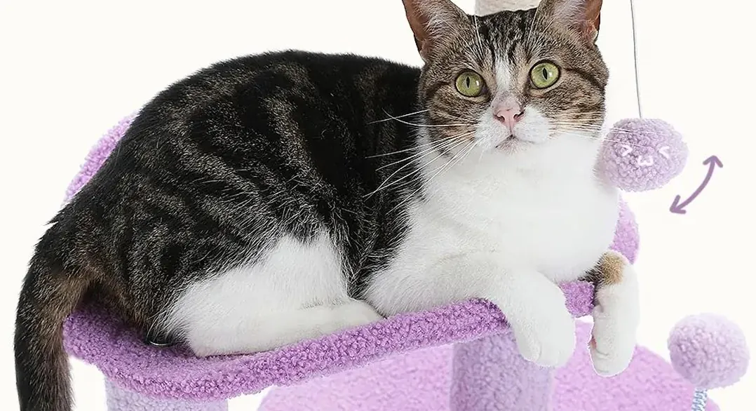 <p style="font-weight: 400;">Cet arbre à chat design est un appel à l’action pour offrir à votre félin le summum du confort et de la joie.</p> <p style="font-weight: 400;"><span style="font-weight: 400;"> Combiné de peluche, de bois et de sisal, il crée son parc de détente et de divertissement en toute sécurité. La forme délicate ajoute une touche décorative à votre domicile. </span> [cg_accordion title="Matériau"] Peluche + Bois + Sisal [/cg_accordion] [cg_accordion title="Avantage"]</p> <ul style="font-weight: 400;"> <li>Cet arbre à chat original est polyvalent pour que votre félin puisse se détendre, dormir, faire une sieste, jouer ou simplement observer en hauteur son royaume en hauteur</li> <li>Peluche avec support du bois présente le meilleur équilibre entre confort et durabilité</li> <li>Design délicat ajoute une touche décorative à domicile</li> <li>Boules à ressort et suspendues pour le divertissement variant</li> <li>Grand socle enveloppé de peluche pour créer une meilleure stabilité et éviter tout glissement lors des sauts</li> <li>Parties en sisal créent des espaces idéals pour griffer</li> <li>Niche à chat, plate-forme incurvée et coussin en haut pour accueillir jusqu’à 3 chats en même temps [/cg_accordion] [custom_combined_shortcode title=" Guide de tailles" id="30070"] [cg_accordion title="Livraison"] Livraison dans un délai de 7 à 28 jours ouvrables dès votre commande validée. <span lang="FR"> </span>[/cg_accordion][cg_accordion title="Retour"] En cas d’insatisfaction, vous avez 14 jours à partir de la réception pour demande un retour. [/cg_accordion]</li> </ul>
