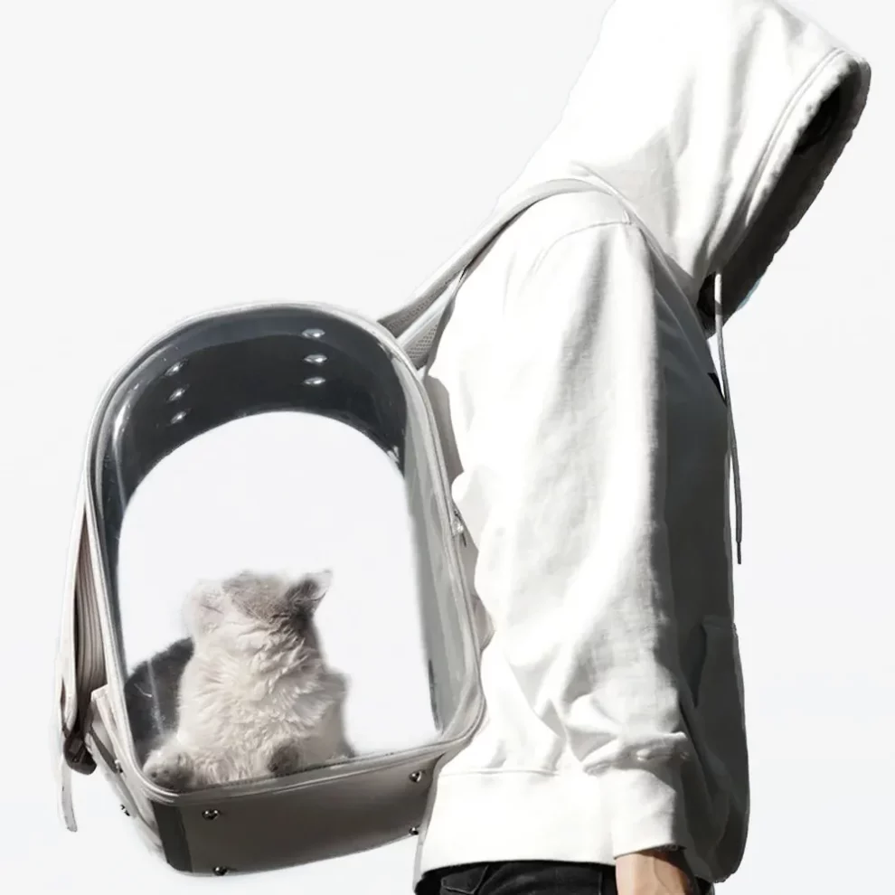 Chat bengale blanc : tout savoir sur le Bengal Snow Sac de transport pour chat avec fenêtres, adapté aux trajets et visites vétérinaires d'un Bengal