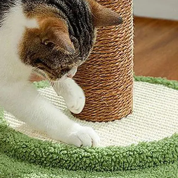 <p style="font-weight: 400;">Créez un royaume tropical pour votre félin avec ce jouet & arbre à chat design en cocotiers !</p> <p style="font-weight: 400;"><span style="font-weight: 400;"> Combiné de peluche, de bois et de sisal, il présente son espace ludique pour tout type de divertissement avec des jouets interactifs. Le choix entre 2 couleurs s'adaptera parfaitement à la déco intérieure. </span> [cg_accordion title="Matériau"] Peluche + Bois + Sisal + Polyester [/cg_accordion] [cg_accordion title="Avantage"]</p> <ul style="font-weight: 400;"> <li>Il s’agit un arbre à chat original ce qui pourra personnaliser la forme et la hauteur des feuilles de cocotiers</li> <li>Peluche avec support du bois enveloppé de sisal assure un confort optimal et une durabilité optimale</li> <li>Polyvalent pour les moments et de détente et de joie</li> <li>Boules à ressort et suspendue ainsi les feuilles invitent votre chat à jouer et s’amuser</li> <li>Design chic tropical pour une déco sympathique à domicile</li> <li>Parties en sisal créent de l’espace idéal pour griffer</li> <li>Grand socle double renforcé garantie une stabilité optimale pour que votre félin puisse escalader et jouet en toute confiance [/cg_accordion] [custom_combined_shortcode title=" Guide de tailles" id="30890"] [cg_accordion title="Livraison"] Livraison sera effectuée dans un délai de 7 à 28 jours ouvrables dès votre commande validée. <span lang="FR"> </span>[/cg_accordion][cg_accordion title="Retour"] En cas d’insatisfaction, vous avez 14 jours à partir de la réception pour demande un retour. [/cg_accordion]</li> </ul>