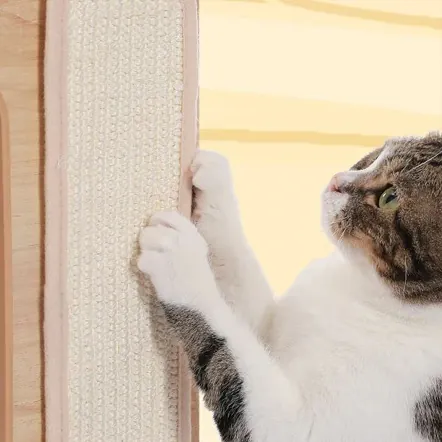 <p style="font-weight: 400;"> Invitez vos félins à découvrir le summum du confort et de l’amusement avec cet arbre à chat design contemporain. </p> <p style="font-weight: 400;"><span style="font-weight: 400;"> Doté d’une structure en bois et des coussins en peluche moelleuse, il crée leur palais moderne en totalement trois étages de plaisir et de confort pour plusieurs chats ensemble. </span> [cg_accordion title="Matériau"] Peluche + Bois + Sisal + Plaque de coton [/cg_accordion] [cg_accordion title="Avantage"]</p> <ul style="font-weight: 400;"> <li>Il s’agit d’un arbre à chat original avec multifonctions pour toutes les activités de détente (dormir/faire une sieste/se relaxer/ observer son royaume en hauteur...) </li> <li>Design contemporain en bois ajoute une déco chic à l’intérieur </li> <li>Combinaison de structure en bois et de coussins en peluche crée cette niche pour chat robuste et confortable </li> <li>Plateforme supérieure équipée d’une plaque de coton et une surface en sisal pour les griffages joyeux </li> <li>Jouet chat à ressort incitant l’interaction et au jeu </li> <li>Trois étages offrant une possibilité pour accueillir plusieurs chats ensemble [/cg_accordion] [custom_combined_shortcode title=" Guide de tailles" id="30995"] [cg_accordion title="Livraison"] Livraison sera effectuée dans un délai de 7 à 28 jours ouvrables dès votre commande validée. <span lang="FR"> </span>[/cg_accordion][cg_accordion title="Retour"] En cas d’insatisfaction, vous avez 14 jours à partir de la réception pour demande un retour. [/cg_accordion]</li> </ul>