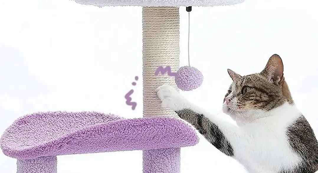 <p style="font-weight: 400;">Cet arbre à chat design est un appel à l’action pour offrir à votre félin le summum du confort et de la joie.</p> <p style="font-weight: 400;"><span style="font-weight: 400;"> Combiné de peluche, de bois et de sisal, il crée son parc de détente et de divertissement en toute sécurité. La forme délicate ajoute une touche décorative à votre domicile. </span> [cg_accordion title="Matériau"] Peluche + Bois + Sisal [/cg_accordion] [cg_accordion title="Avantage"]</p> <ul style="font-weight: 400;"> <li>Cet arbre à chat original est polyvalent pour que votre félin puisse se détendre, dormir, faire une sieste, jouer ou simplement observer en hauteur son royaume en hauteur</li> <li>Peluche avec support du bois présente le meilleur équilibre entre confort et durabilité</li> <li>Design délicat ajoute une touche décorative à domicile</li> <li>Boules à ressort et suspendues pour le divertissement variant</li> <li>Grand socle enveloppé de peluche pour créer une meilleure stabilité et éviter tout glissement lors des sauts</li> <li>Parties en sisal créent des espaces idéals pour griffer</li> <li>Niche à chat, plate-forme incurvée et coussin en haut pour accueillir jusqu’à 3 chats en même temps [/cg_accordion] [custom_combined_shortcode title=" Guide de tailles" id="30070"] [cg_accordion title="Livraison"] Livraison dans un délai de 7 à 28 jours ouvrables dès votre commande validée. <span lang="FR"> </span>[/cg_accordion][cg_accordion title="Retour"] En cas d’insatisfaction, vous avez 14 jours à partir de la réception pour demande un retour. [/cg_accordion]</li> </ul>