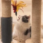 Chat joueur entre deux griffoirs, captivé par un jouet coloré.