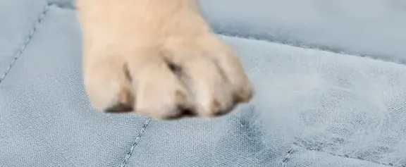 <p style="font-weight: 400;">Notre tapis XXL pour chien permet d’offrir une ultime oasis de confort à votre compagnon canin. </p> <p style="font-weight: 400;"><span style="font-weight: 400;">Son design à 4 couches garantit un confort durable, faisant de ce tapis le coin préféré de votre toutou. Disponible en différentes tailles, de M à 4XL, il s’adapte parfaitement à tous les espaces de vie, du panier traditionnel, au canapé du salon, en passant par les voyages en voiture. L’imperméabilité prévient les accidents, gardant chaque surface propre et vous évitant toute inquiétude. </span> [cg_accordion title="Matériau"] Microfibre + TPU + Fibre textile + Polyester [/cg_accordion] [cg_accordion title="Avantage"]</p> <ul style="font-weight: 400;"> <li>Ce tapis pour chien XXL offre à votre toutou un vaste territoire pour ses nuits réparatrices, siestes et moments de détente. </li> <li>La technologie des 4 couches allie confort optimal et protection imperméable. </li> <li>La gamme de tailles avec 6 dimensions disponibles (jusqu’à 4XL) accueille les races géantes ou plusieurs chiens à la fois. </li> <li>Son multi-usage permet de s’utiliser comme tapis de sol ou protection sur canapés/lits/sièges auto. </li> <li>Sa résistance aux lavages en machine apporte un nettoyage simplifié sans perdre en qualité. [/cg_accordion] [custom_combined_shortcode title=" Guide de tailles" id="31774"] [cg_accordion title="Livraison"] La livraison s’effectuera dans un délai de 7 à 28 jours ouvrables dès la validation de votre commande. <span lang="FR"> </span>[/cg_accordion][cg_accordion title="Retour"] Si, pour quelque raison que ce soit, vous n'êtes pas pleinement satisfait, une demande de retour serait possible dans les 14 jours suivant la réception.[/cg_accordion]</li> </ul>