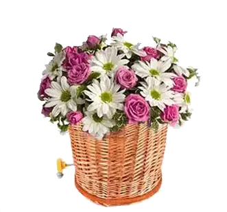<p style="font-weight: 400;">Emmenez votre félin en balade stylée avec ce panier transport chat ! </p> <p style="font-weight: 400;"><span style="font-weight: 400;"> C’est un ajout pratique à votre vélo pour vos aventures ensembles ! Combinaison de saule et de métal avec un coussin dans l'intérieur, il assure une utilisation durable et un confort ultime. </span> [cg_accordion title="Matériau"] Saule + Inox + Peluche [/cg_accordion] [cg_accordion title="Avantage"]</p> <ul style="font-weight: 400;"> <li>Ce panier osier chat artisanal crée une esthétique rustique, ajoutant une touche sympathique à vos sorties à vélo </li> <li>Polyvalent pour transporter divers objets </li> <li>Combinaison de saule et d’inox assure une utilisation durable qui résistante aux intempéries et à l’usure </li> <li>Coussin amovible crée un confort idéal [/cg_accordion] [custom_combined_shortcode title=" Guide de tailles" id="34451"] [cg_accordion title="Livraison"] La livraison s’effectuera dans un délai de 7 à 28 jours ouvrables dès la validation de votre commande. <span lang="FR"> </span>[/cg_accordion][cg_accordion title="Retour"] Si, pour quelque raison que ce soit, vous n'êtes pas pleinement satisfait, une demande de retour serait possible dans les 14 jours suivant la réception.[/cg_accordion]</li> </ul>