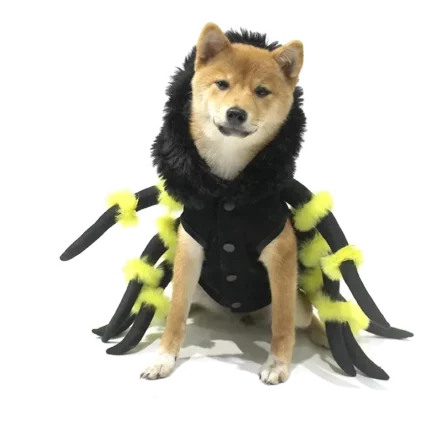 Déguisement chien Halloween disponible sur Animimi