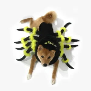 🕷️Déguisement Pour Chat Araignée🕷️