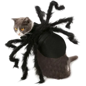 Vêtements Chat Halloween Araignée Design Épouvantable