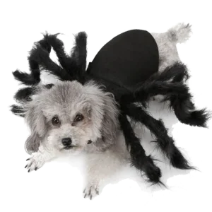🕷️Déguisement Chien Halloween Araignée