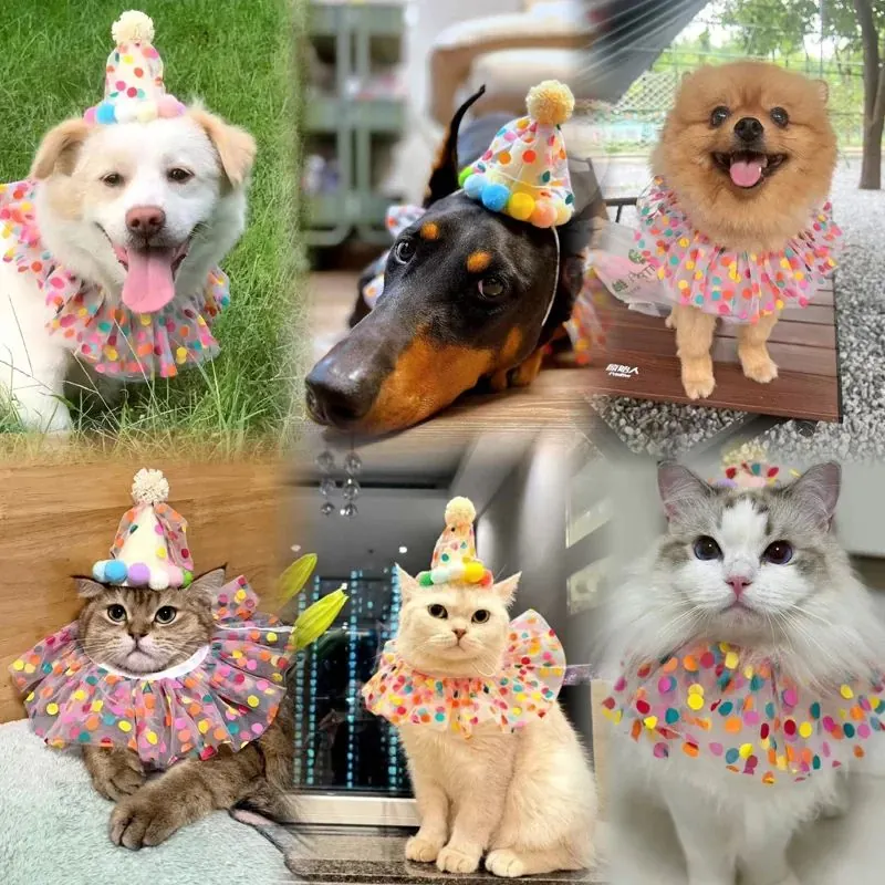 <p style="font-weight: 400;">Ce déguisement pour chat, vous permet de transformer votre félin en une adorable mascotte.</p> <p style="font-weight: 400;"><span style="font-weight: 400;">Que ce soit pour les fêtes, les anniversaires ou les séances photos ou vidéos, il sera au centre d’attention avec son petit chapeau ou bavoir, attirant plein d’amour des autres. </span> [cg_accordion title="Matériau"] Polyester [/cg_accordion] [cg_accordion title="Avantage"]</p> <ul style="font-weight: 400;"> <li>Cet ensemble de bavoir et chapeau pour chat ajoute une touche stylée, attirant ainsi davantage d’amour et d’attention des autres</li> <li>Polyvalent pour être utilisé comme déguisement pour les fêtes, anniversaires ou les sessions photo à partager sur les réseaux sociaux</li> <li>Polyester doux assure un équilibre parfait entre confort et maintien [/cg_accordion] [custom_combined_shortcode title=" Guide de tailles" id="34980"] [cg_accordion title="Livraison"] La livraison s’effectuera dans un délai de 7 à 28 jours ouvrables dès la validation de votre commande. <span lang="FR"> </span>[/cg_accordion][cg_accordion title="Retour"] Si, pour quelque raison que ce soit, vous n'êtes pas pleinement satisfait, une demande de retour serait possible dans les 14 jours suivant la réception.[/cg_accordion]</li> </ul>