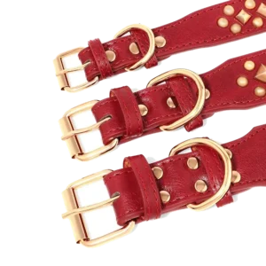 <p style="font-weight: 400;">Illuminez les promenades avec votre toutou avec notre collier pour chien en cuir !</p> <p style="font-weight: 400;"><span style="font-weight: 400;"> C’est une fusion de style et de fonctionnalité en ajoutant une touche de rock à son look. Le cuir véritable lui offre un confort ultime et une sécurité optimale ! </span> [cg_accordion title="Matériau"] Cuir véritable [/cg_accordion] [cg_accordion title="Avantage"]</p> <ul style="font-weight: 400;"> <li>Ce collier chien cuir est un accessoire adorable en exprimant votre amour pour votre canin</li> <li>Cuir offre une sensation de confort et une utilisation durable</li> <li>Inspiration de rock ajoutant une touche charmante</li> <li>Trous réglables pour un ajustement confortable et sécurisé [/cg_accordion] [custom_combined_shortcode title=" Guide de tailles" id="32903"] [cg_accordion title="Livraison"] La livraison s’effectuera dans un délai de 7 à 28 jours ouvrables dès la validation de votre commande. <span lang="FR"> </span>[/cg_accordion][cg_accordion title="Retour"] Si, pour quelque raison que ce soit, vous n'êtes pas pleinement satisfait, une demande de retour serait possible dans les 14 jours suivant la réception.[/cg_accordion]</li> </ul>