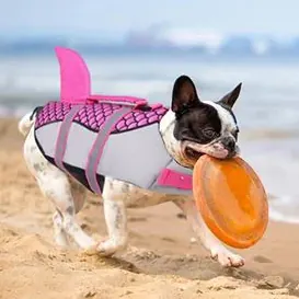 <p style="font-weight: 400;">Notre gilet sauvetage chien, vous permet de donner à votre canin une protection globale lors de vos aventures aquatiques !</p> <p style="font-weight: 400;"><span style="font-weight: 400;">Que ce soit pour les baignades à la plage, les sorties en mer ou les balades en bateau au lac, vous pouvez garder votre chien en toute sécurité et mignonnerie !</span> [cg_accordion title="Matériau"] Nylon Oxfords + Polyester + Mousse [/cg_accordion] [cg_accordion title="Avantage"]</p> <ul style="font-weight: 400;"> <li>Ce gilet de sauvetage pour chien ajoute une touche de mignonnerie de requin à votre canin, attirant donc plein d’amour de tous</li> <li>Polyvalent pour les activités aquatiques comme les balades au lac, les sorties en mer et la natation, ou simplement un amusement sur la plage</li> <li>Poignée intégrée au-dessus pour une prise en main facile et une assistance efficace en cas d’urgence dans l’eau</li> <li>Fermeture auto-agrippant avec boucles clic-clac de plus, il pourra d’être facile à presser ensemble ou se détacher avec une double sécurité et une protection renforcée sans mauvaise surprise</li> <li>Combinaison de nylon oxfords, de polyester et de mousse assure une sécurité optimale, un séchage rapide et un drainage ultime</li> <li>Bande réfléchissante offre une visibilité accrue même dans l'obscurité</li> <li>Doté de boucle réservée pour attacher une laisse [/cg_accordion] [custom_combined_shortcode title=" Guide de tailles" id="35453"] [cg_accordion title="Livraison"] La livraison s’effectuera dans un délai de 7 à 28 jours ouvrables dès la validation de votre commande. <span lang="FR"> </span>[/cg_accordion][cg_accordion title="Retour"] Si, pour quelque raison que ce soit, vous n'êtes pas pleinement satisfait, une demande de retour serait possible dans les 14 jours suivant la réception.[/cg_accordion]</li> </ul>