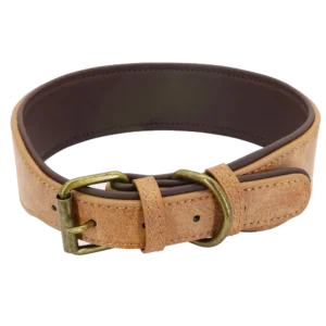 <p style="font-weight: 400;">Donnez à votre canin une protection d’amour pendant vos balades avec ce collier pour gros chien !</p> <p style="font-weight: 400;"><span style="font-weight: 400;">Disponible en différentes tailles et couleurs, vous en trouvez facilement un ce qui s’harmonisera à la race, le sexe, aux poils et même à l’humour du jour de votre chien. </span> [cg_accordion title="Matériau"] Cuir PU [/cg_accordion] [cg_accordion title="Avantage"]</p> <ul style="font-weight: 400;"> <li>Il s’agit d’un collier pour gros chien en exprimant votre amour pour votre canin</li> <li>Portant de jolie couleur l’aidera à attirer plus d’attention de la part des autres</li> <li>Cuir PU le rend à la fois confortable et durable</li> <li>Il s’adaptera à différentes tailles de cou selon les trous réglables [/cg_accordion] [custom_combined_shortcode title=" Guide de tailles" id="32923"] [cg_accordion title="Livraison"] La livraison s’effectuera dans un délai de 7 à 28 jours ouvrables dès la validation de votre commande. <span lang="FR"> </span>[/cg_accordion][cg_accordion title="Retour"] Si, pour quelque raison que ce soit, vous n'êtes pas pleinement satisfait, une demande de retour serait possible dans les 14 jours suivant la réception. [/cg_accordion]</li> </ul>