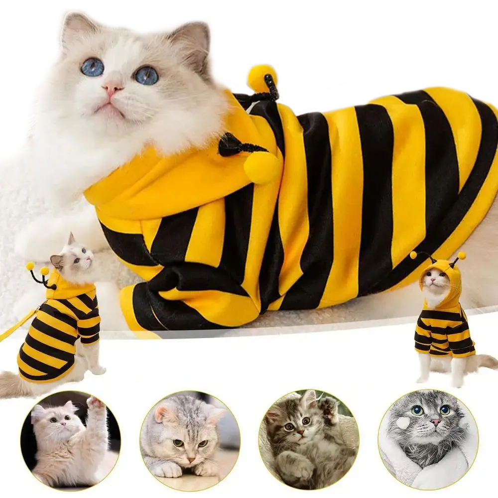 <p style="font-weight: 400;">Ce pull pour chat, vous permet de transformer votre félin en une adorable abeille ! </p> <p style="font-weight: 400;"><span style="font-weight: 400;">Que ce soit pour les occasions quotidiennes, les promenades, les fêtes ou les séances photo, il attira beaucoup d’attentions et d’amours de la part des autres. </span> [cg_accordion title="Matériau"] Polaire [/cg_accordion] [cg_accordion title="Avantage"]</p> <ul style="font-weight: 400;"> <li>Ce déguisement pour chat ajoute une touche de mignonnerie supplémentaire à votre félin, attirant plein d’amour et d’attention de tous </li> <li>Polyvalent pour les promenades en plein air, les occasions quotidiennes, les fêtes ou les sessions photo à partager sur les réseaux sociaux </li> <li>Polaire assure une sensation moelleuse et un confort optimale [/cg_accordion] [custom_combined_shortcode title=" Guide de tailles" id="35093"] [cg_accordion title="Livraison"] La livraison s’effectuera dans un délai de 7 à 28 jours ouvrables dès la validation de votre commande. <span lang="FR"> </span>[/cg_accordion][cg_accordion title="Retour"] Si, pour quelque raison que ce soit, vous n'êtes pas pleinement satisfait, une demande de retour serait possible dans les 14 jours suivant la réception.[/cg_accordion]</li> </ul>