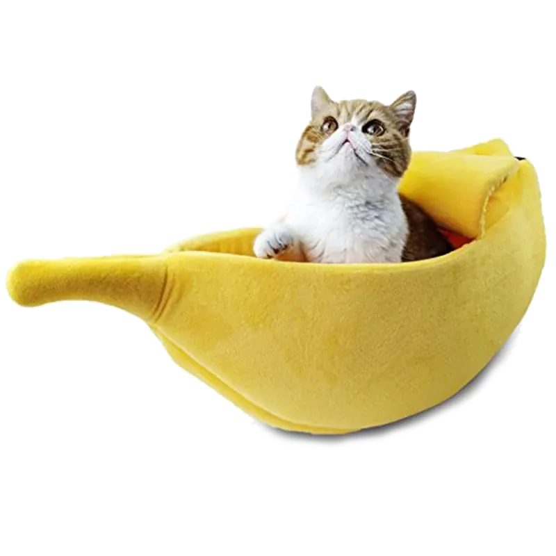 <p style="font-weight: 400;"> Ce panier design pour chat transforme l’espace de repos félin en un véritable cocon de bien-être. </p> <p style="font-weight: 400;"><span style="font-weight: 400;"> Son allure contemporaine, sa forme de banana et ses matériaux ultra-doux en font bien plus qu’un simple couchage : un refuge douillet et fermé où votre miaou pourra se lover, jouer et rêver en toute tranquillité. C’est un mélange parfait de style et de fonctionnalité qui s’harmonise à merveille avec votre intérieur tout en devenant son coin favori. </span> [cg_accordion title="Matériau"] Peluche + Coton PP [/cg_accordion] [cg_accordion title="Avantage"]</p> <ul style="font-weight: 400;"> <li>Ce panier pour chat est un espace pensé pour chaque comportement félin : sommeil réparateur, sieste légère ou observation attentive. </li> <li>La combinaison d’un revêtement en peluche et d’un noyau en coton PP assure à la fois un confort moelleux et un soutien dorsal optimal. </li> <li>Le capot en forme de banane crée une cachette ludique tout en stimulant l’instinct de chasse et de curiosité naturelle de votre miaou. </li> <li>Son design moderne s’intègre avec style à votre déco tout en remplissant parfaitement sa fonction première. </li> <li>Les plusieurs tailles disponibles s’adaptent aux différentes morphologies félines. [/cg_accordion] [custom_combined_shortcode title=" Guide de tailles" id="29711"] [cg_accordion title="Livraison"] Livraison dans un délai de 7 à 28 jours ouvrables dès votre commande validée. <span lang="FR"> </span>[/cg_accordion][cg_accordion title="Retour"] En cas d’insatisfaction, vous avez 14 jours à partir de la réception pour demande un retour. [/cg_accordion]</li> </ul>