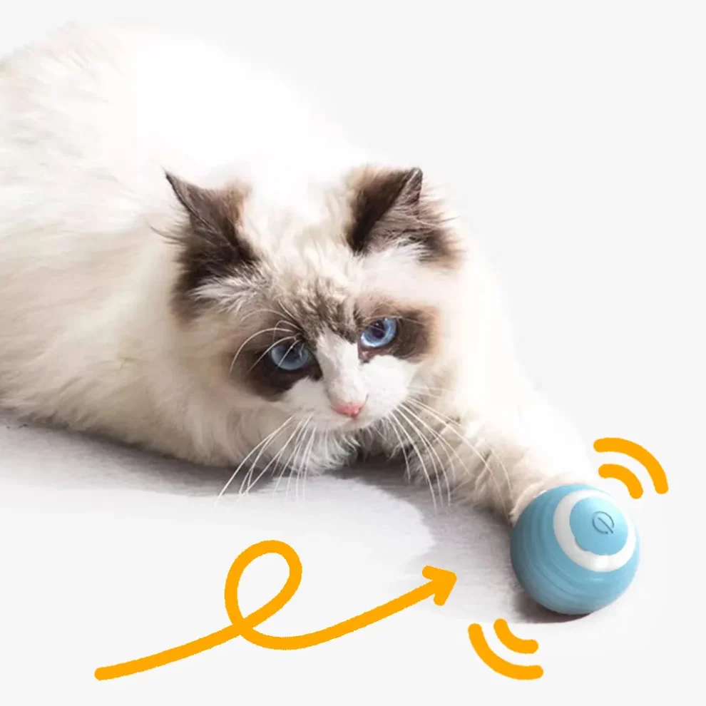 Balle interactive intelligente pour chat